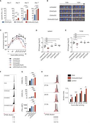 Rapid protection against viral infections by chemokine-accelerated post-exposure vaccination